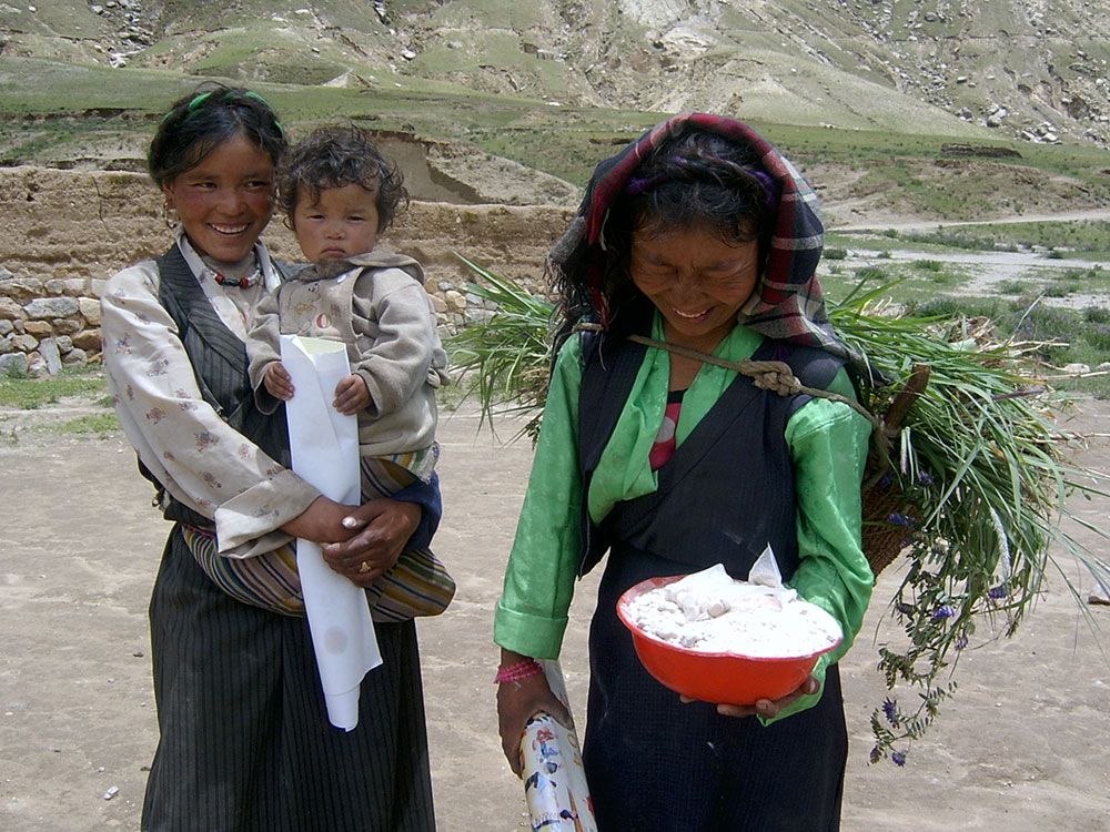Tibetan women harvesting droma