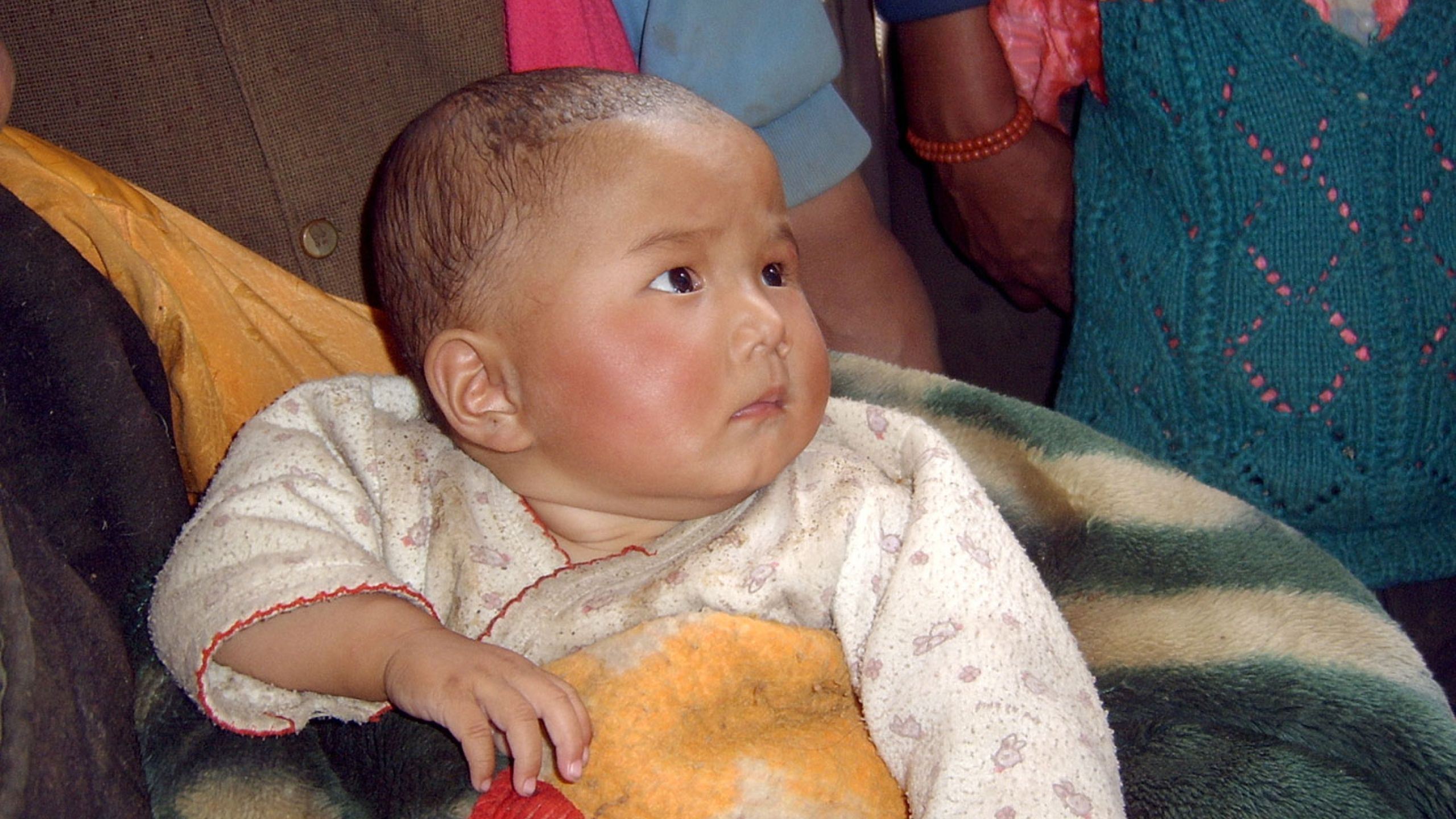tibetan infant