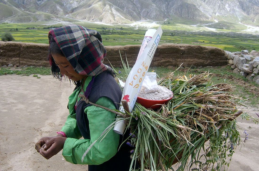 woman with harvest of plants